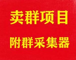 新手也可以操作的暴利项目：卖群（附群采集器）