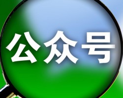 公众号赚钱项目的另类玩法，一个字没写，月赚 20 万