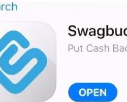 国外网赚：swagbucks问卷调查，新手一小时赚20美元