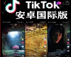 利用TikTok信息差赚钱，日赚300+