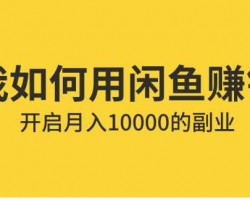 如何挖掘闲鱼上的小众类目，月赚一万元