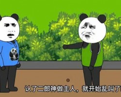 中视频沙雕动画项目