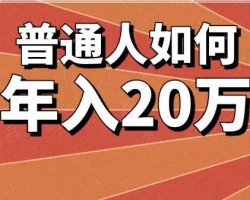 普通人怎么通过网络一年赚20万?