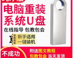 适合新手操作的-U盘重装系统赚钱项目