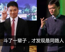 刘强东放弃京东的股权套现离场