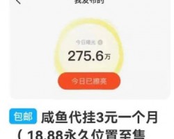 闲鱼代挂项目