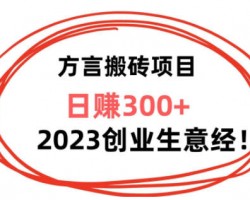 爆火的方言搬砖项目，闷声发大财2023生意经