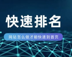 2023新站点快速收录排名方法