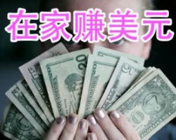 2个国外赚美金的小站点