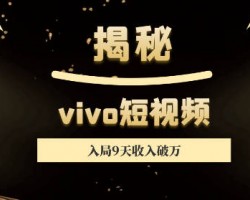 VIVO短视频赚钱项目