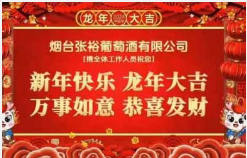 年前这个风口项目，企业年会祝福视频定制，单日收入20000+