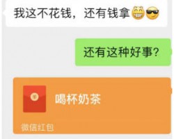 灰色项目拆解：白吃白喝还能赚钱，披萨赔付项目，一单500