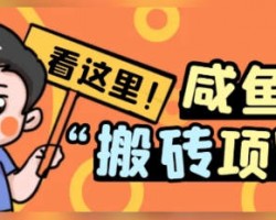 闲鱼币搬砖回收赚钱玩法，有人一天搞几百