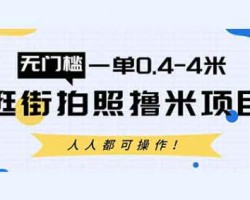 抖音拍照撸米玩法，简单无门槛项目！一单0.4-4米，人人都可以操作！