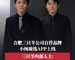 小杨甄选薅羊毛甄宝