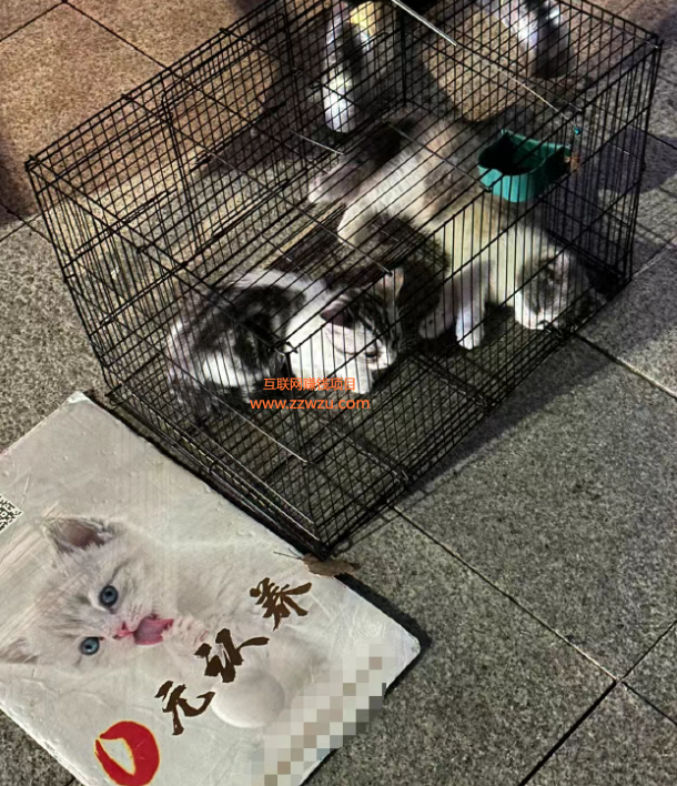 日赚2000+的零成本空手套白狼赚钱套路