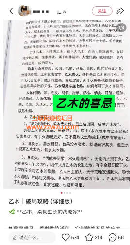 偏门赚钱小项目,轻松月入过万