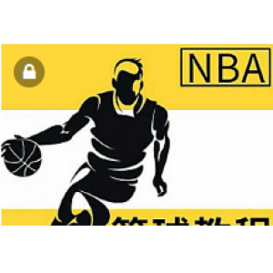 打篮球实战训练基础入门到精通教学技巧运球投篮技术视频教程全套(21G)
