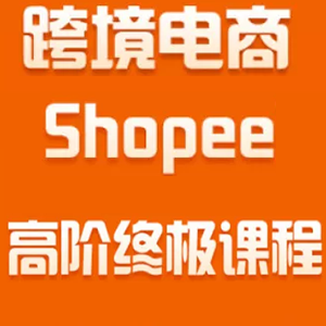 2020跨境电商蓝海新机会-SHOPEE大卖特训营：高阶终极课程（16节课）