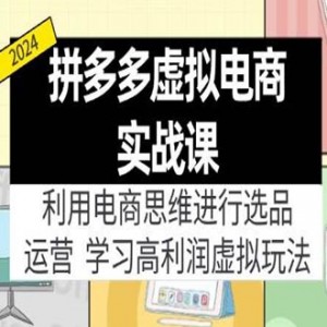 拼多多虚拟电商实战课：利用电商思维进行选品+运营，高利润玩法