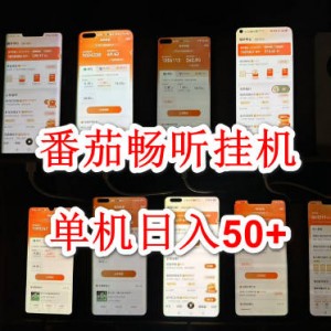 番茄畅听挂机，单机日入50+，工作室实操落地，可矩阵操作