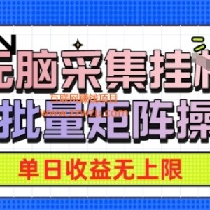 无脑采集自动运行，可批量矩阵操作，单日收益无上限